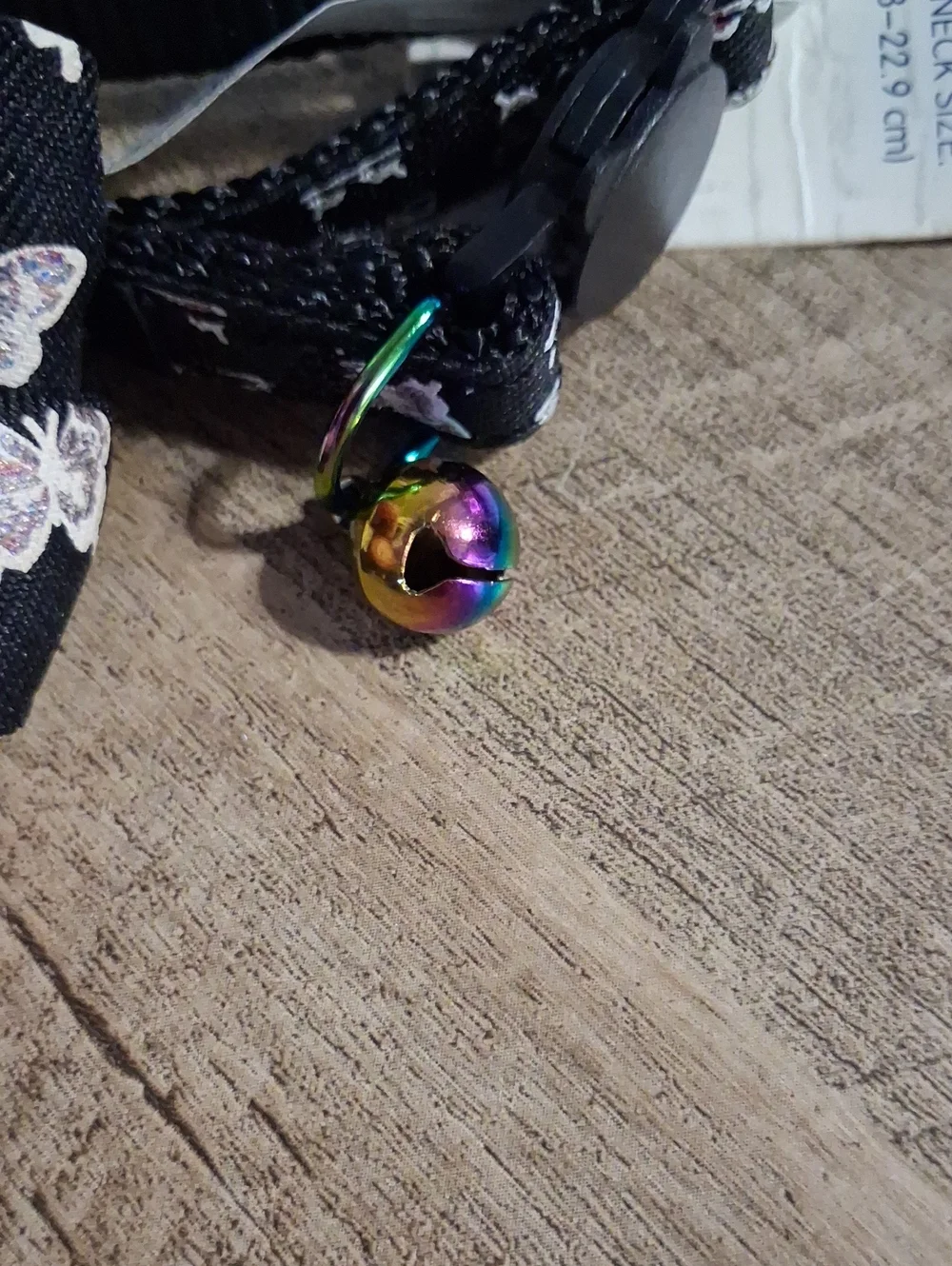 Black Floral Easy-Release Cat Collar with Bow